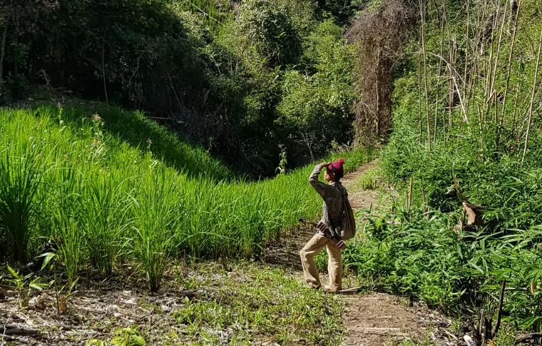 5-Day or 8-Day Trek, Pedal, & Paddle the Sarawak Rainforest